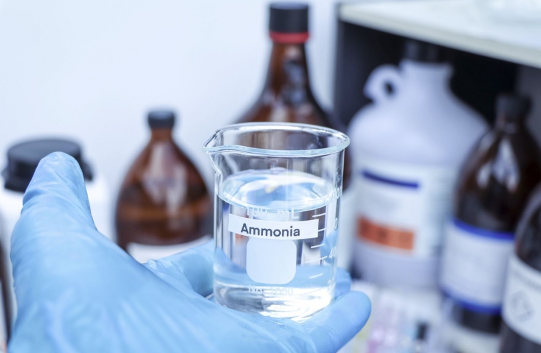 Global Ammonia Market snapshot