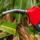 Spirits High: Ethanol Interest is Soaring with Expanded Applications and New Low CI Production Routes 