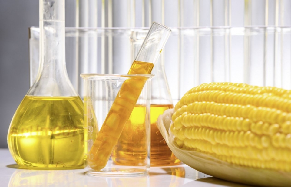 NexantECA HVO in Latin America: Hydrogenated Vegetable Oil and High Value Opportunity