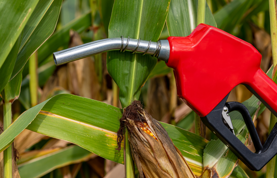 Spirits High: Ethanol Interest is Soaring with Expanded Applications and New Low CI Production Routes 