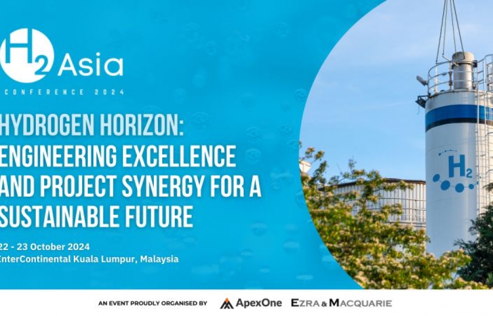 Hydrogen Horizons: Engineering Excellence and Project Synergy for a Sustainable Futur