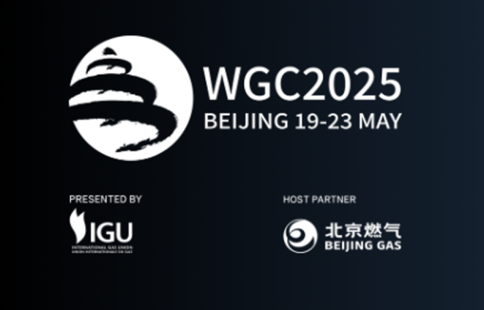 The 29th World Gas Conference (WGC2025) 