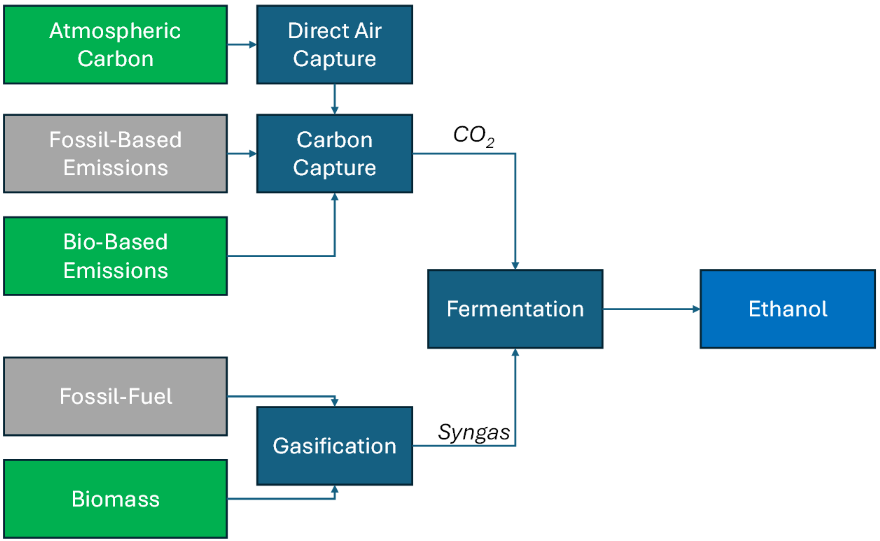 Options for Syngas and CO2 Fermentation