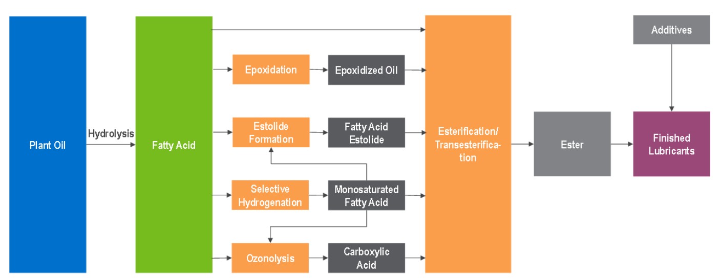 NexantECA - Major Routes to Biolubricant Production