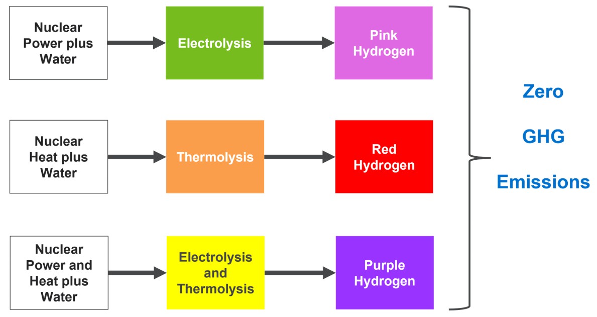 Pathways for Red, Purple, Pink Hydrogen Production