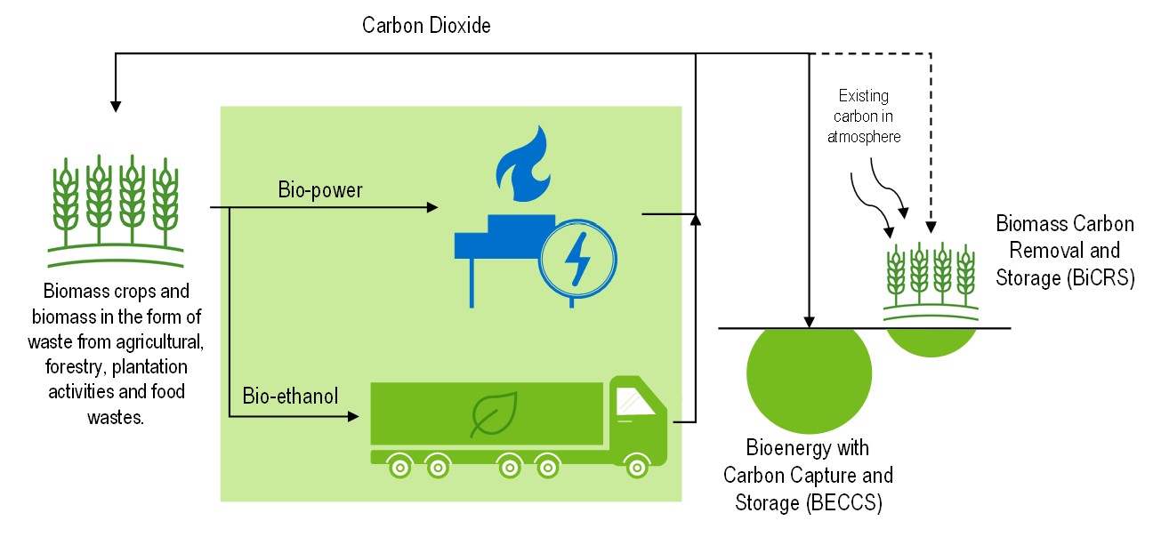 General Concept for Bioenergy with Carbon Capture and Storage (BECCS) and Biomass Carbon Removal and Storage (BiCRS)